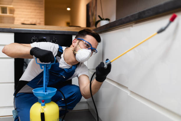 Best Local Pest Control Services  in Sleepy Eye, MN