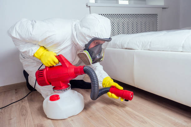 Flea Control Services in Sleepy Eye, MN