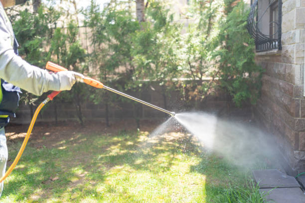 Best Wasp Removal Services  in Sleepy Eye, MN