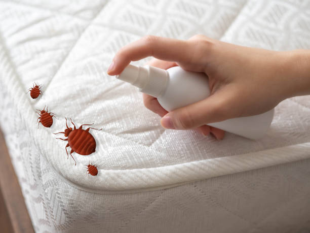 Best Exterminator Services  in Sleepy Eye, MN