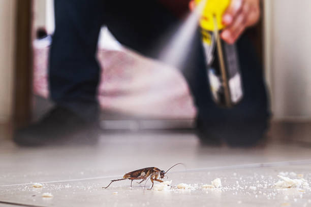 Professional Pest Control in Sleepy Eye, MN