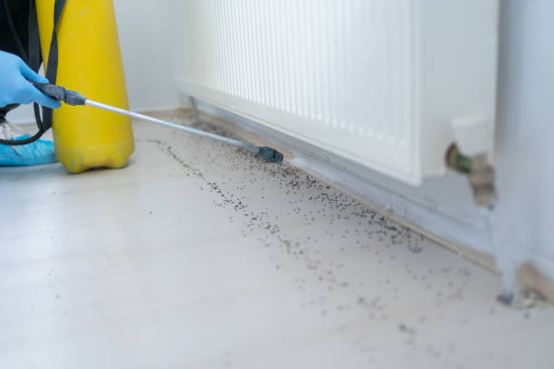 Best Best Pest Control Companies  in Sleepy Eye, MN